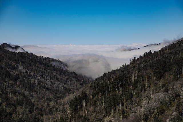 Visit this Great Smokey Mountains National Park