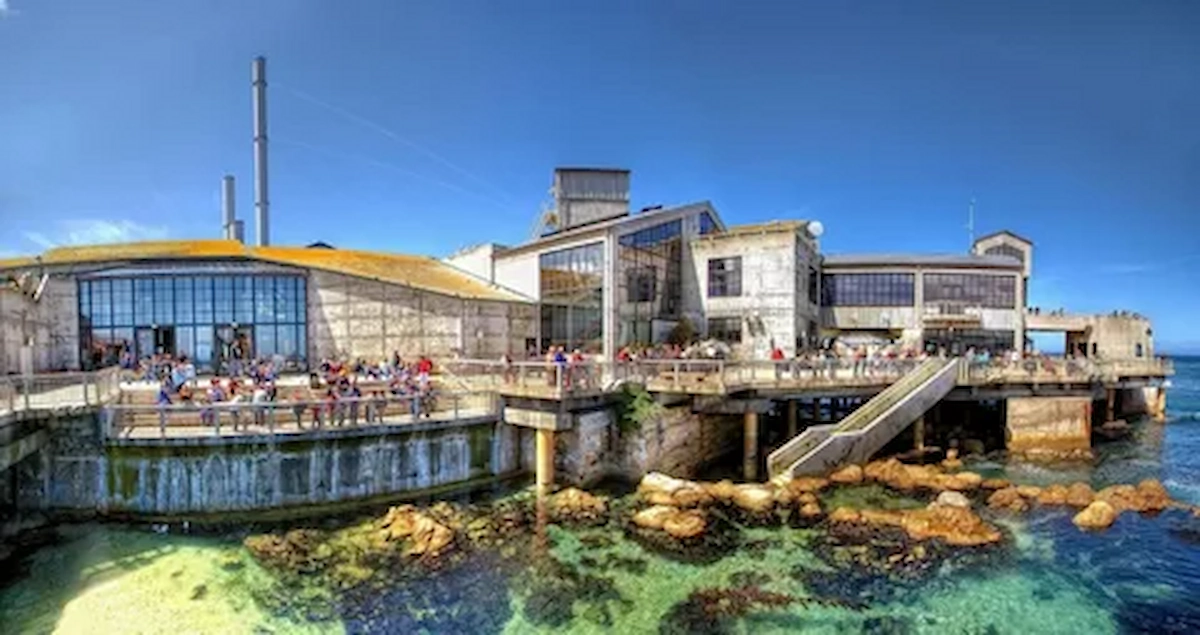 Monterey Bay Aquarium