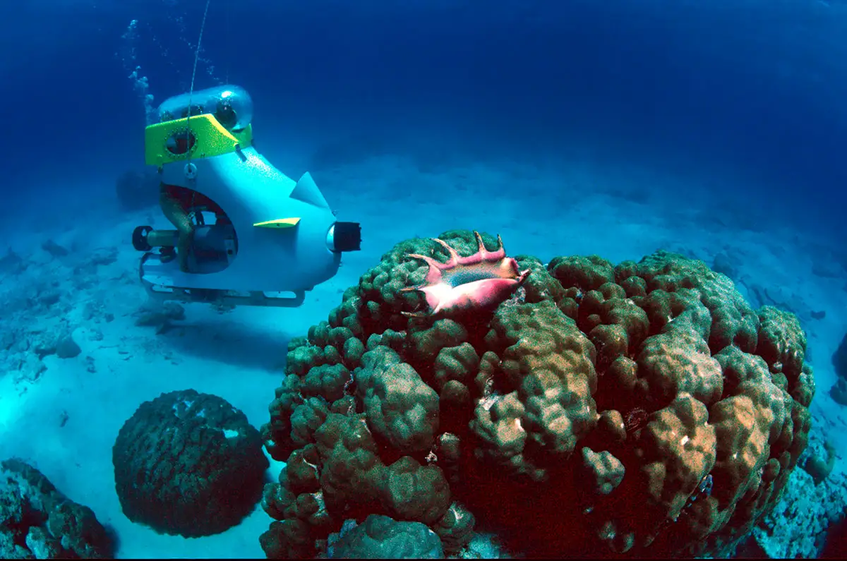 Underwater Blue Safari Submarines Mauritius