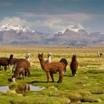 8 Unmissable Places To Visit In Bolivia, South America