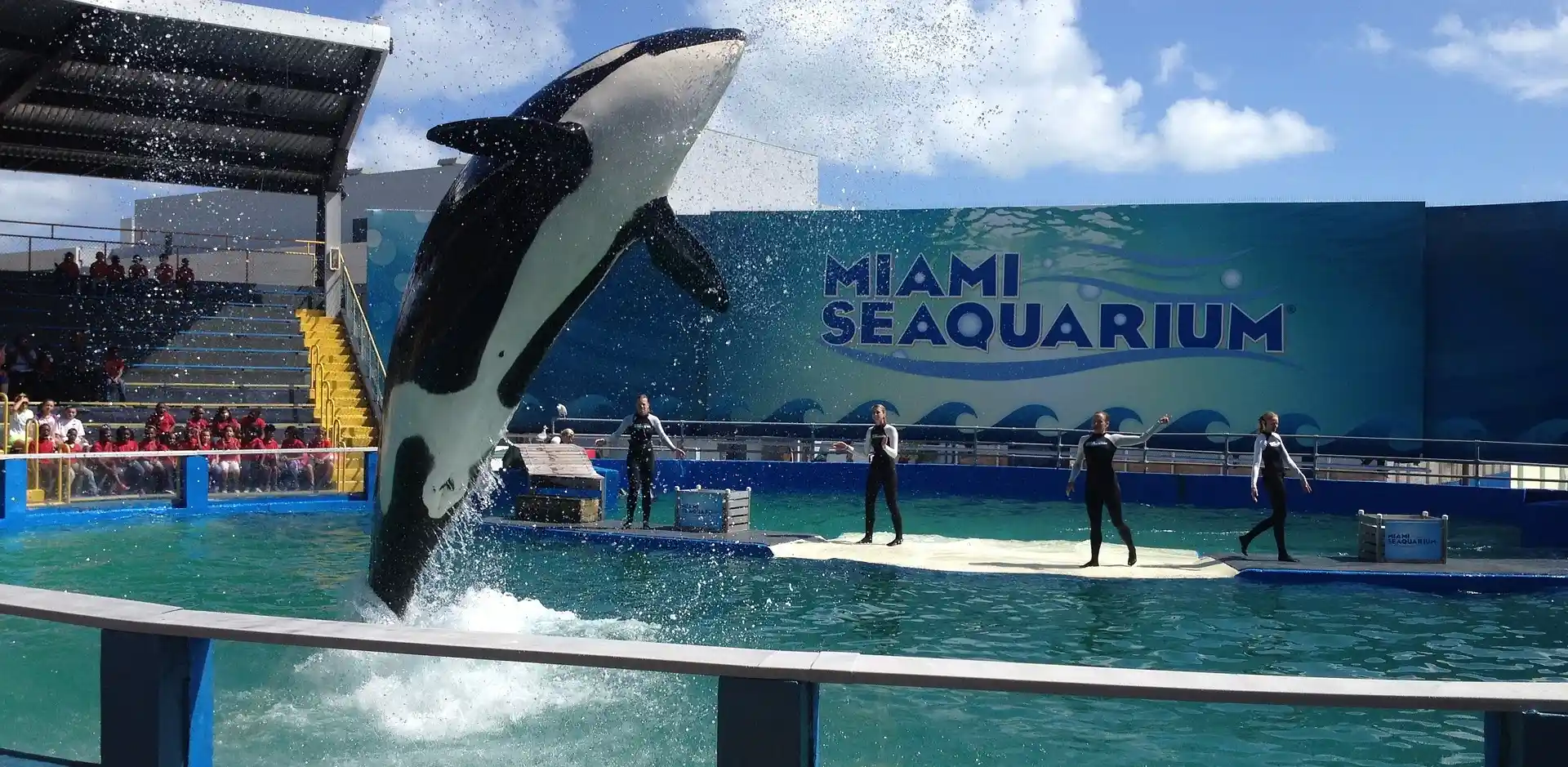 Miami Seaquarium - All You Need to Know BEFORE You Go (with Photos)