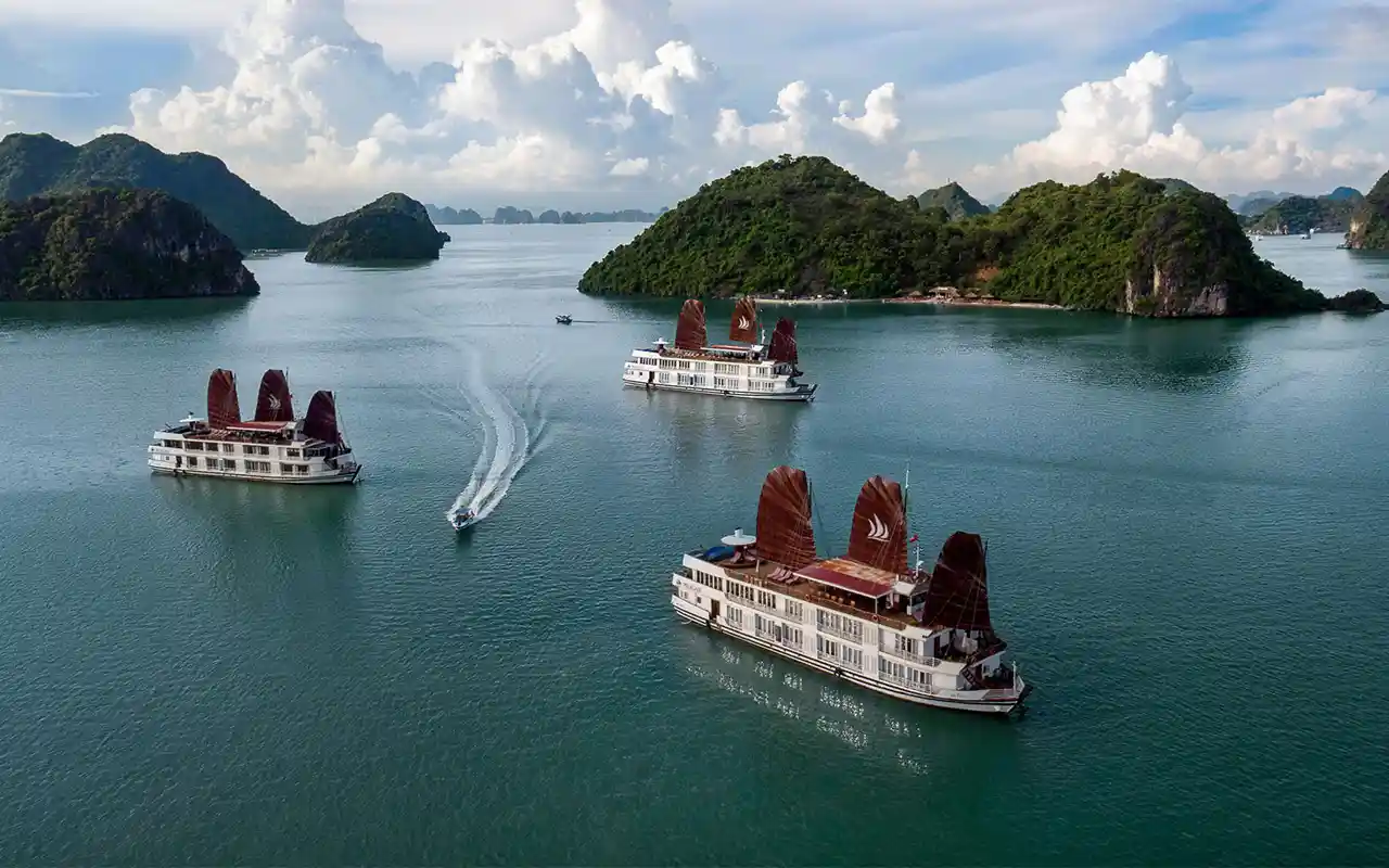  Cruise Experience in Halong Bay