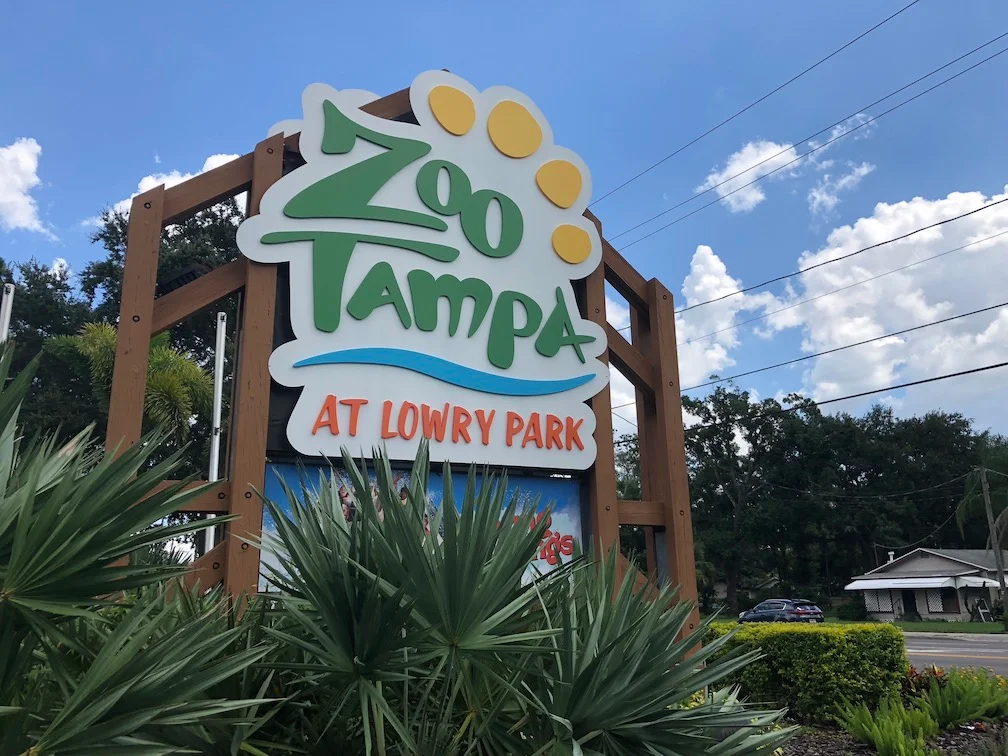 22 Exciting Things To Do In Tampa With Kids - Travelistia