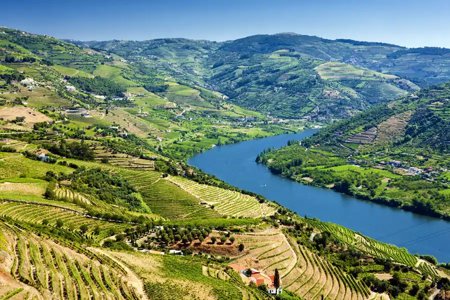 The Enchanting Douro Valley