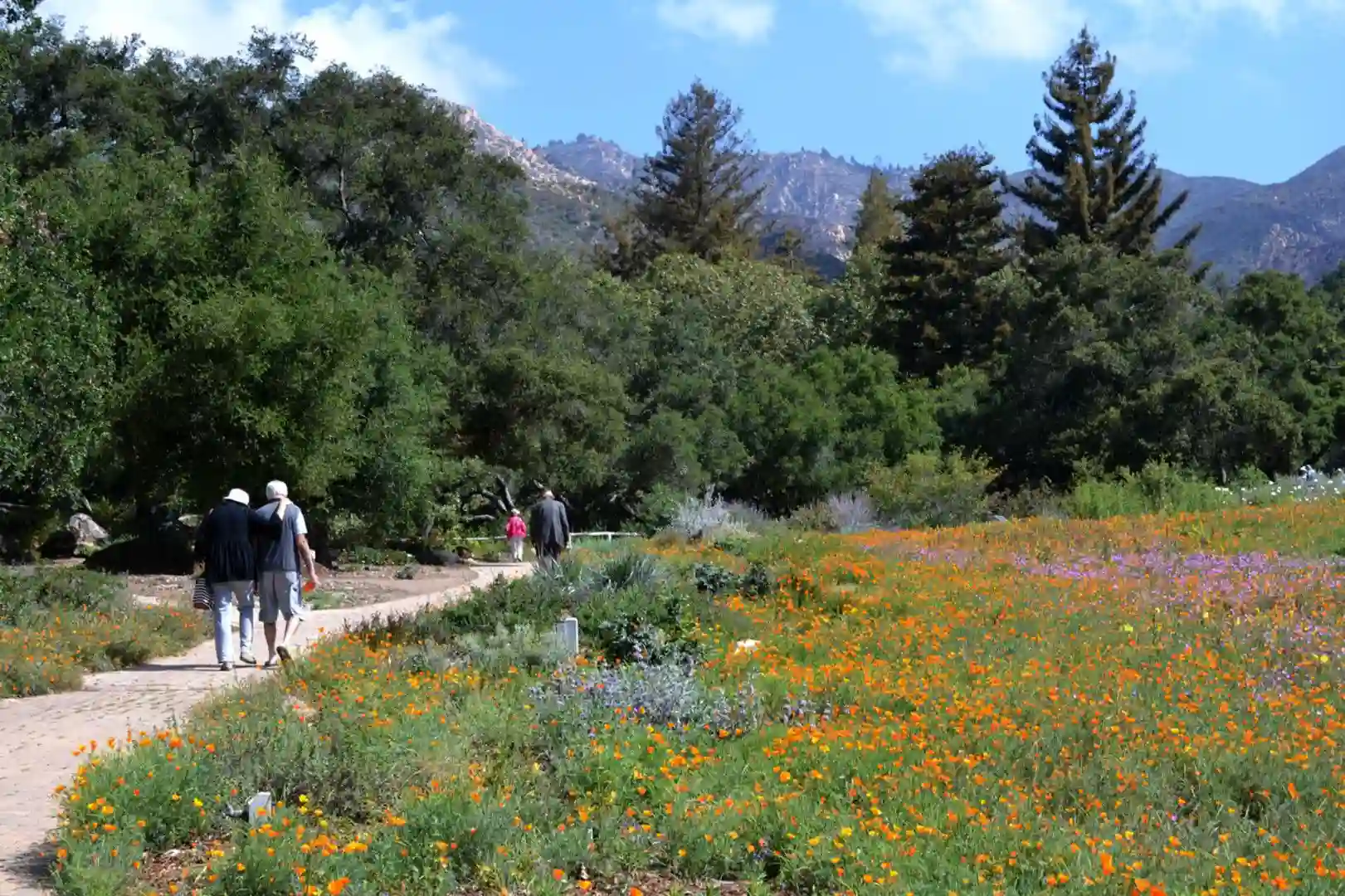 Top 10 Things to Do in Santa Barbara for Couples - Travelistia