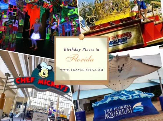 15 Budget-Friendly Places to Go for Your Birthday in Florida