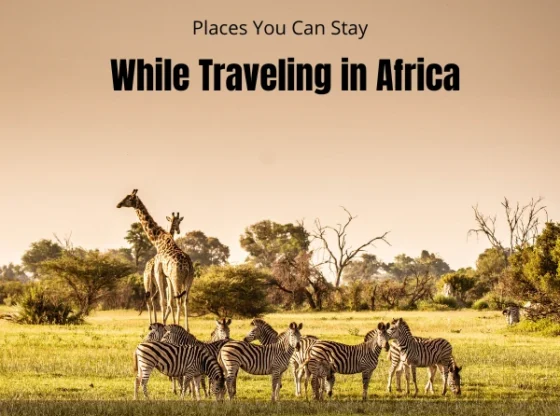 Places To Stay in Africa