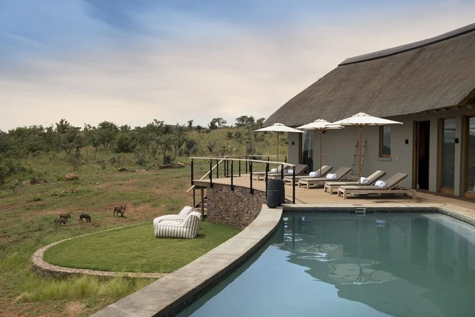 Ultimate Guide to Eco-Friendly Safari Lodges in South Africa