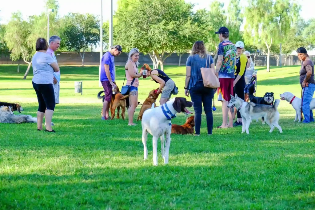 At Harrell’s Ferry Dog Park, a group of people and various breeds of dogs gather in a green, sunny space. Some interact with their dogs, while others stand and talk. Trees and park amenities are visible in the background. One white dog with a blue collar stands in the foreground.