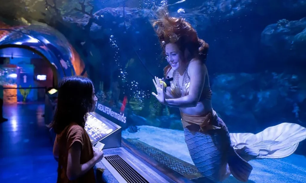 A young girl gazes at a sensational mermaid show at Blue Zoo, captivated by an underwater performer dressed as a mermaid. The performer, with long, flowing hair and a vibrant tail fin, interacts with the girl through the glass, waving their hands against the stunning aquatic backdrop.