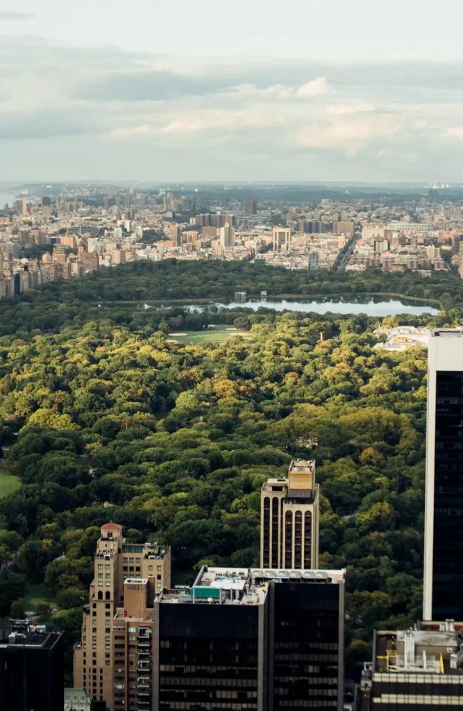 Wander Central Park