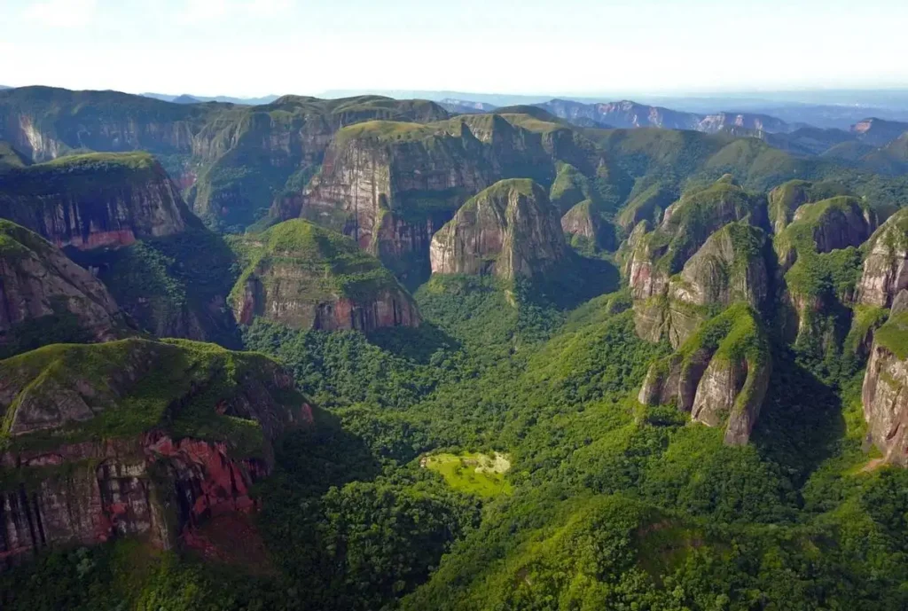 Amboro National Park