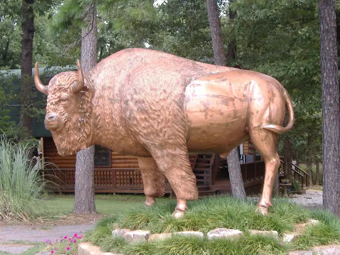 Beavers Bend Wildlife Museum