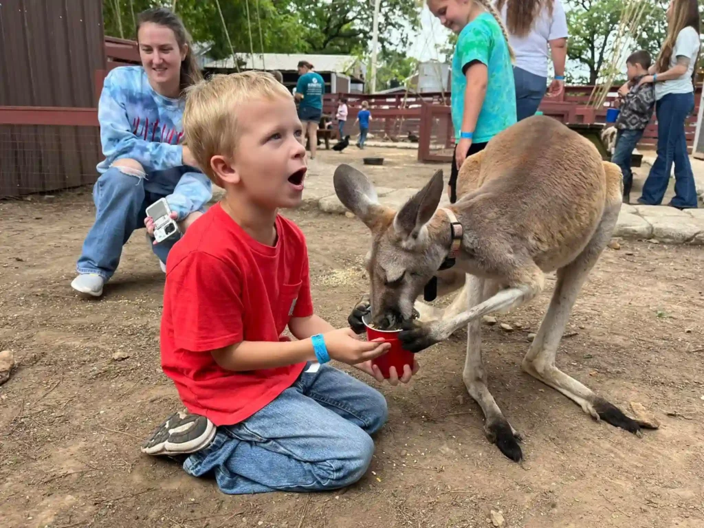 Hochatown Petting Zoo