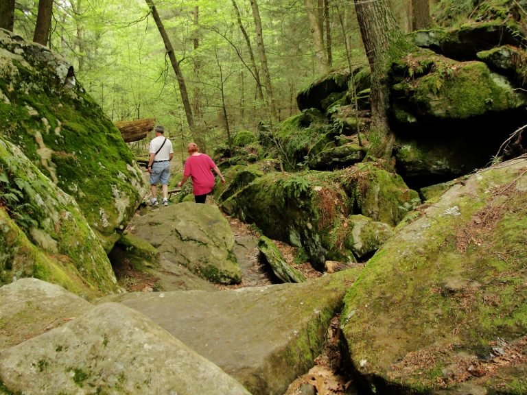 Ice Glen Trail