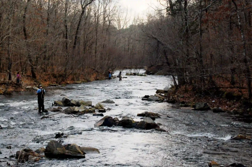 MT Fork River