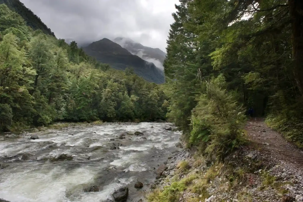 Milford track in New Zealand