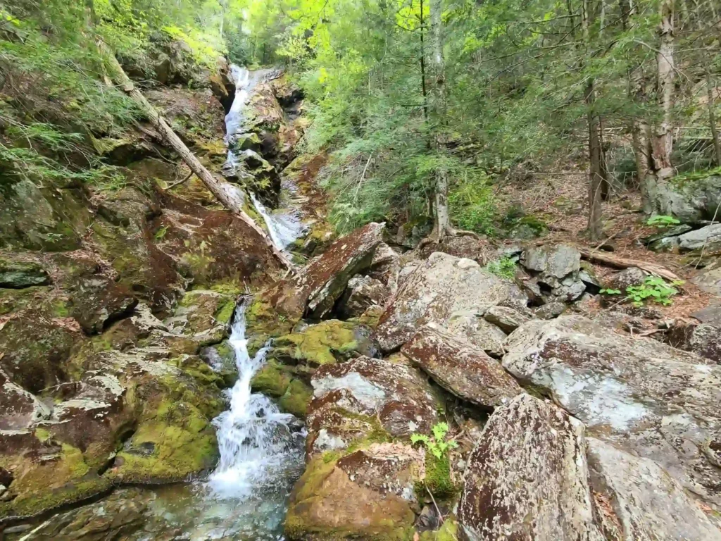 Mount Everett Peak Trail 1