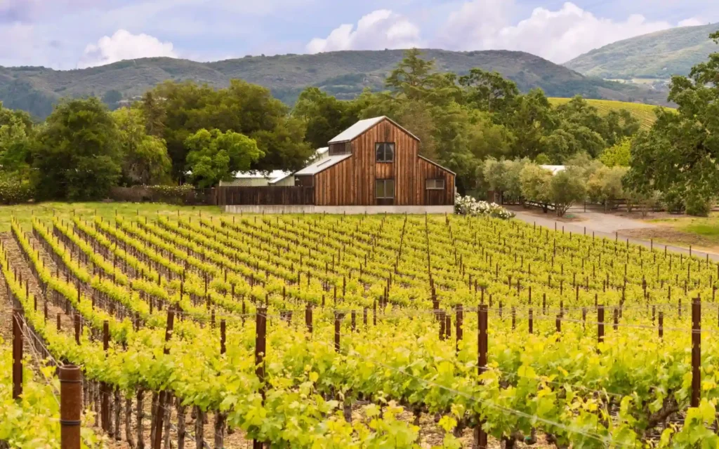 Napa Valley Vineyards