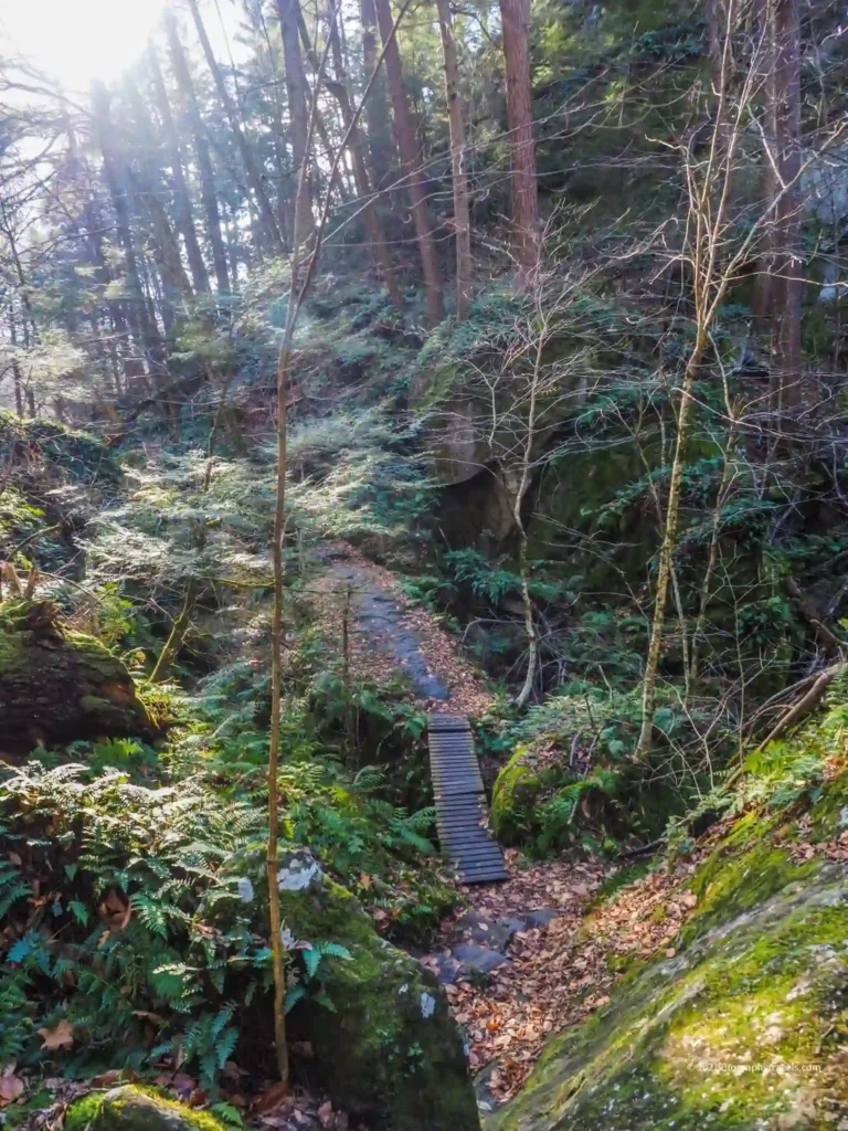 Pinnacle Trail to Lauras Tower 1