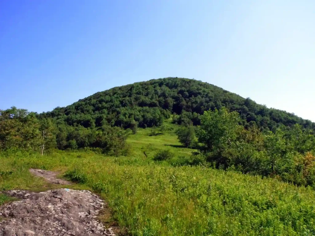 Saddle Ball Mountain Path