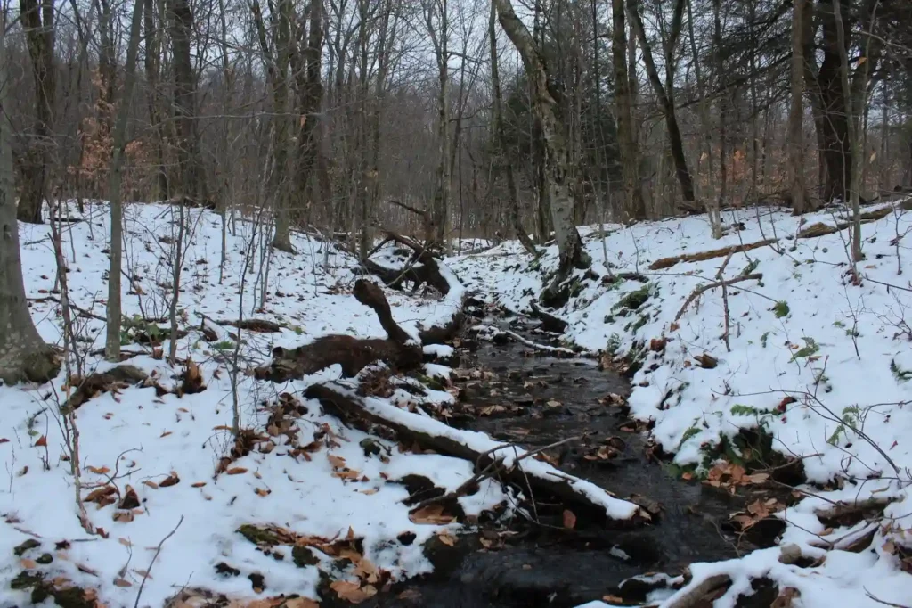 Taconic Crest Trail to Berry Pond