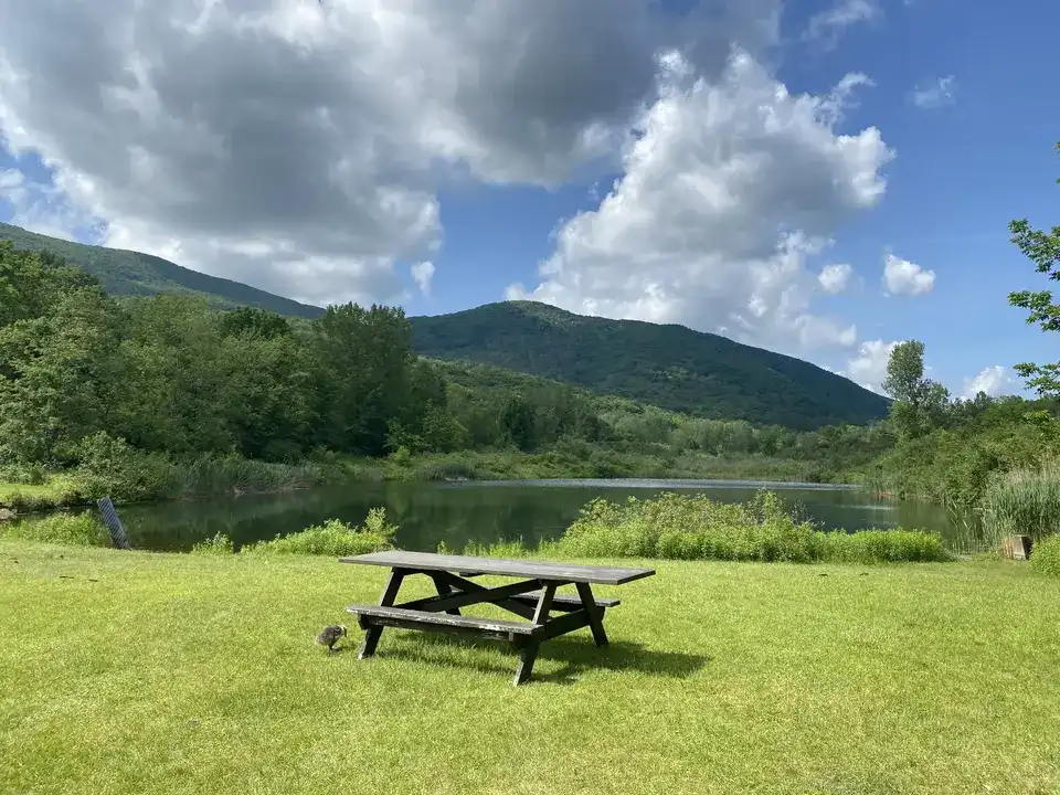 The Glen Meadow Loop 1