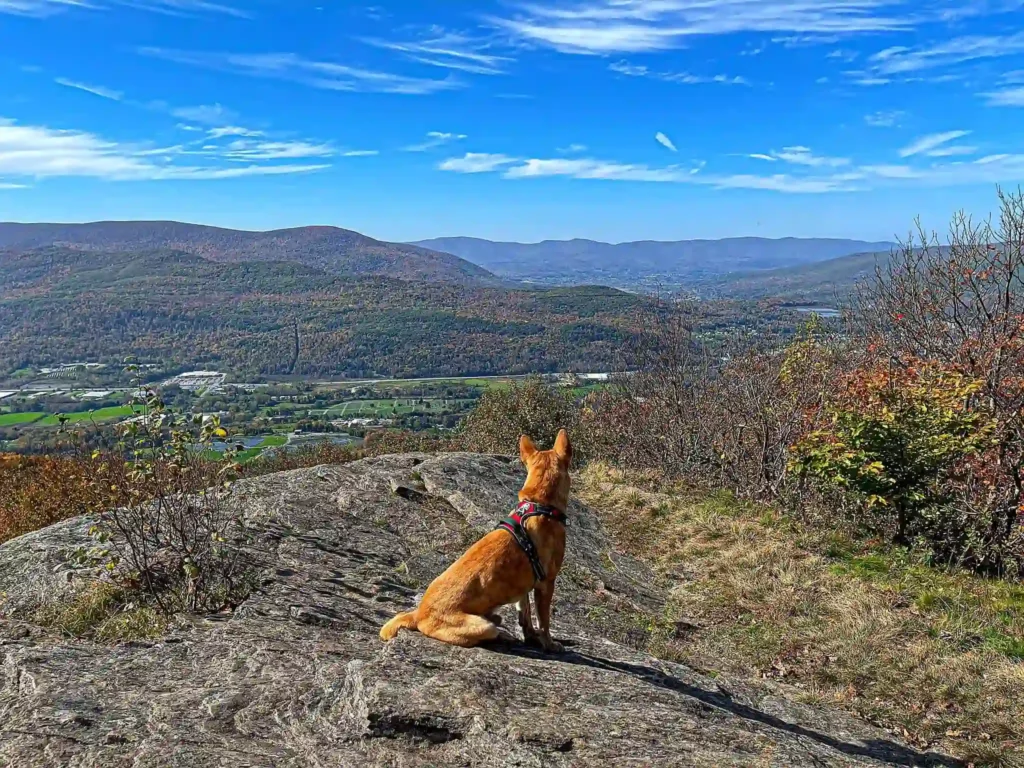 The Hoosac Range Trail