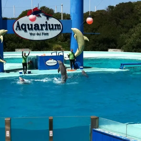 Aquarium Mar del Plata