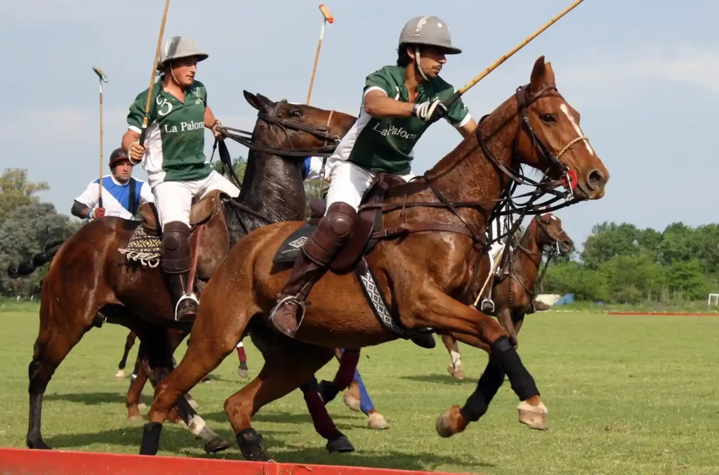 polo playing is one of the Unique Things to Do in Mar del Plata Argentina