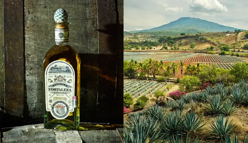 Tequila Region 1